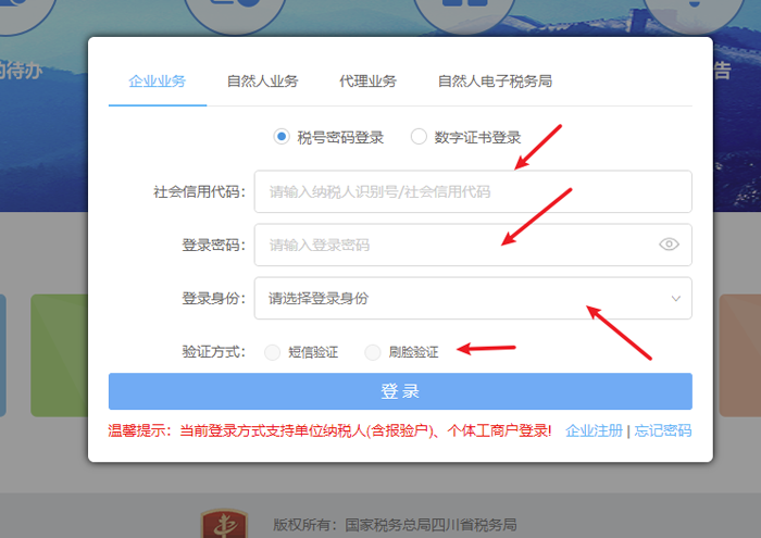 四川省电子税务局