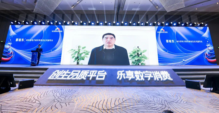 商务部电子商务和信息化司副司长蔡裕东