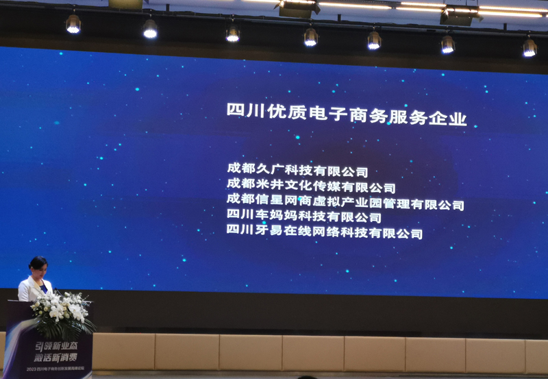 四川优质电子商务服务企业