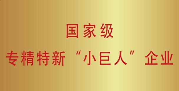 2024年专精特新小巨人