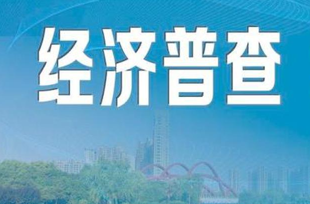 成都高新区第五次全国经济普查