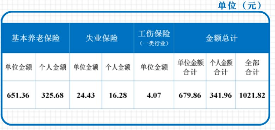 单位职工申报工资低王缴费基数下限标准的各项社会保险费月缴费金额