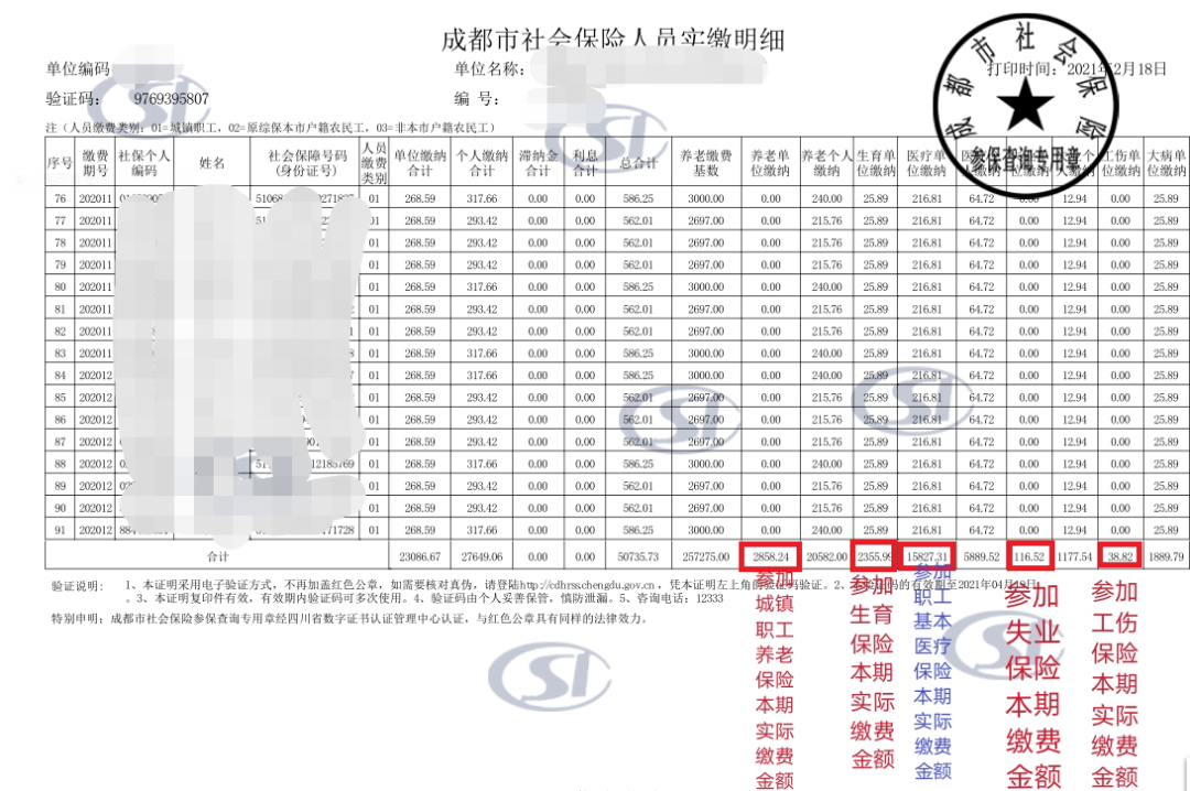 成都市社会保险人员实缴明细