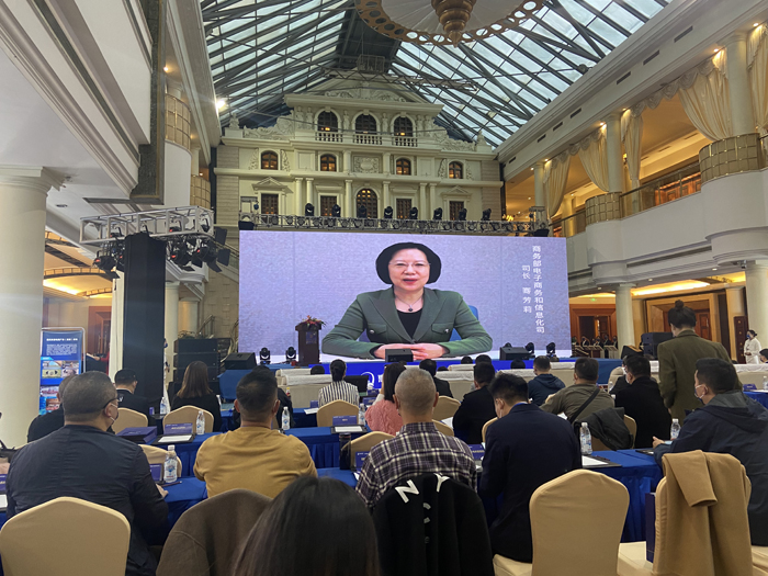 商务部电子商务和信息化司司长骞芳莉