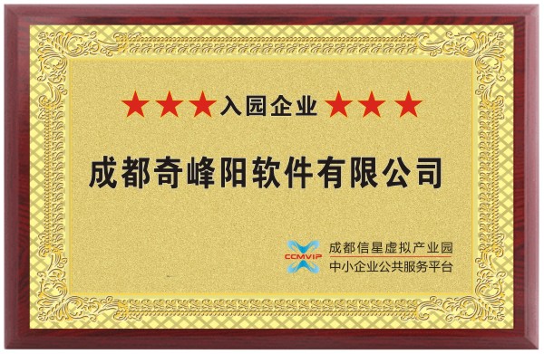 成都奇峰阳软件有限公司