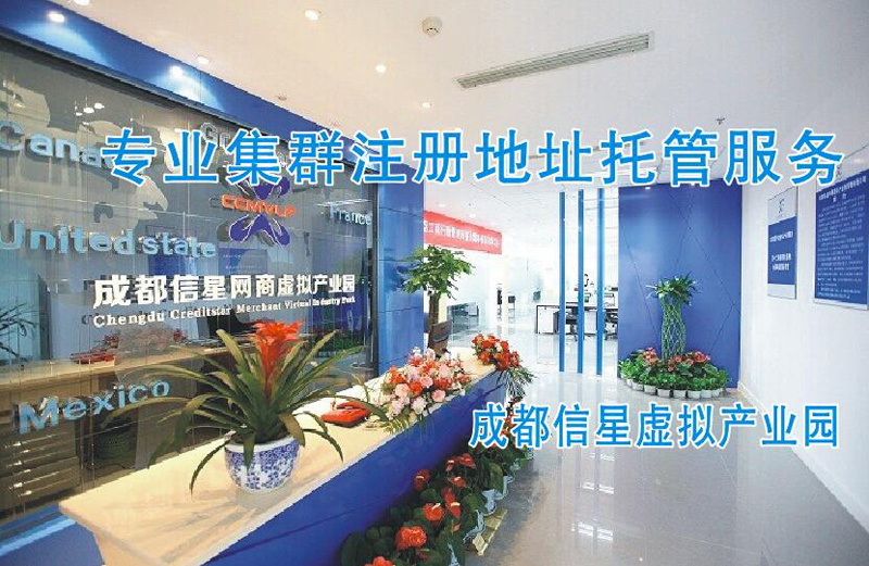 成都虚拟地址托管服务信星虚拟产业园