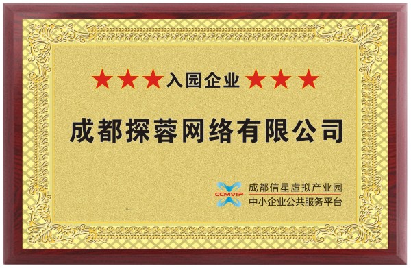 成都探蓉网络有限公司